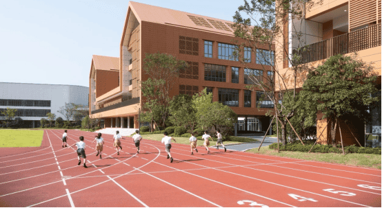 1697092892914.jpg 1697092892914.jpg